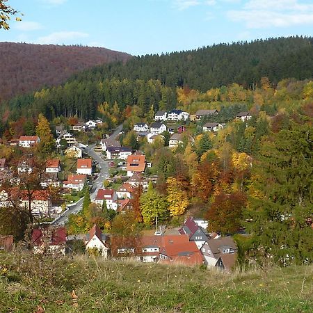 Pension Rheingold Garni Bad Grund Kültér fotó