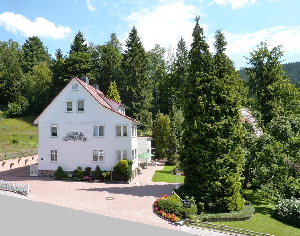 Pension Rheingold Garni Bad Grund Kültér fotó