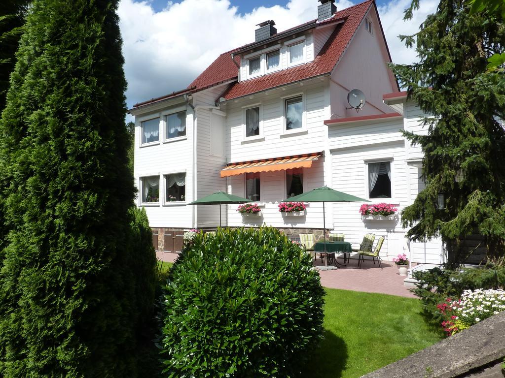 Pension Rheingold Garni Bad Grund Kültér fotó