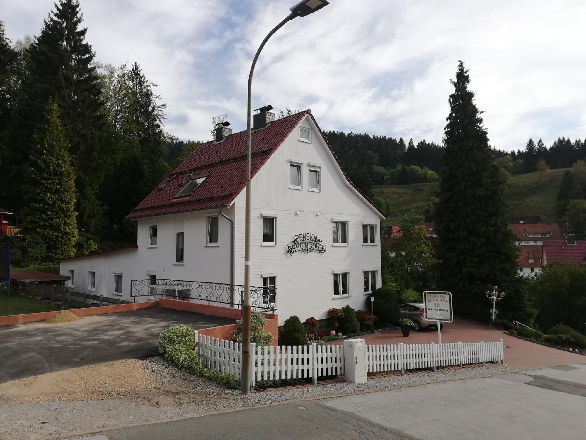Pension Rheingold Garni Bad Grund Kültér fotó