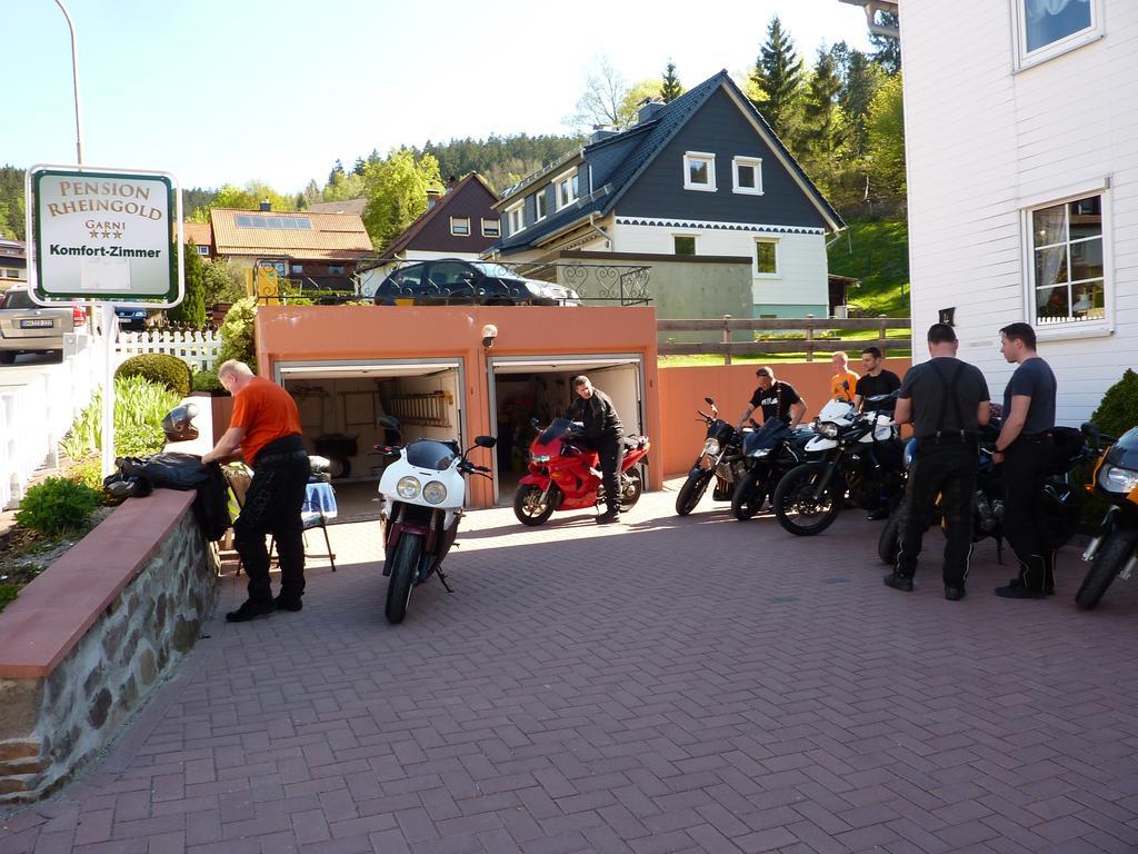 Pension Rheingold Garni Bad Grund Kültér fotó
