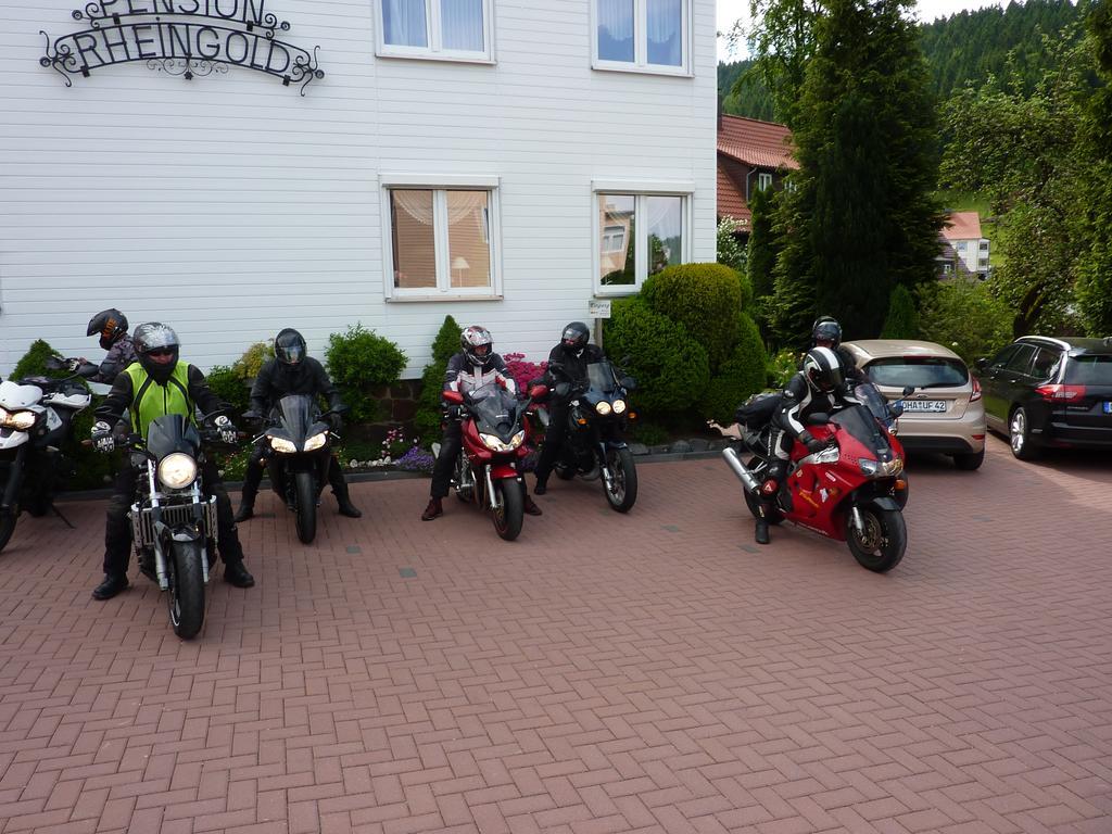 Pension Rheingold Garni Bad Grund Kültér fotó