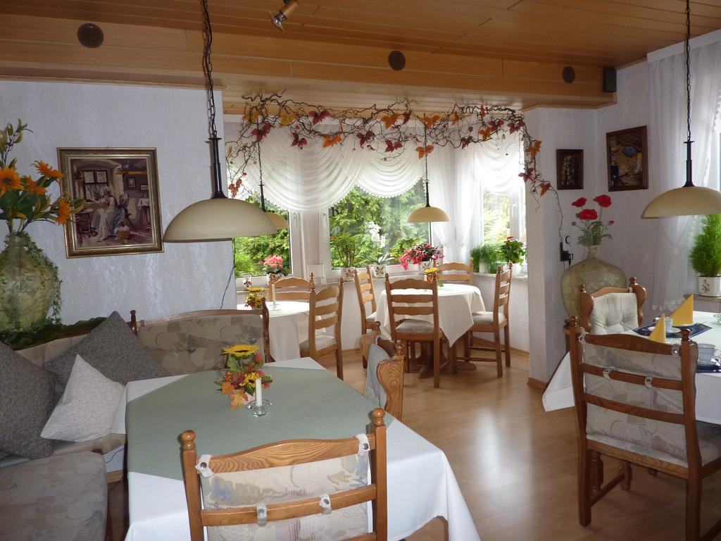 Pension Rheingold Garni Bad Grund Kültér fotó